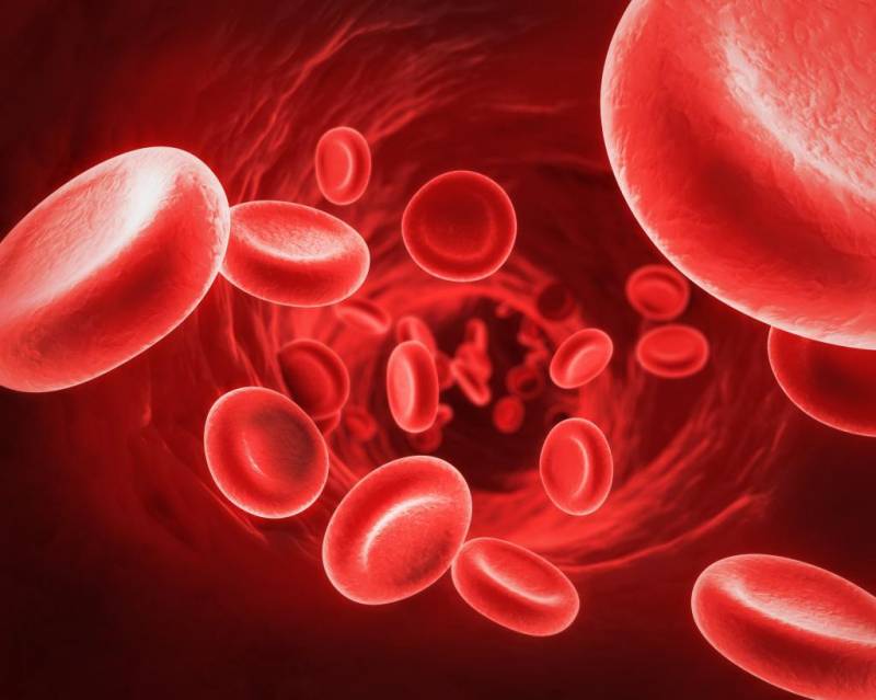 Анализ крови на электролиты: описание, сдача анализа, норма и отклонения, особенности