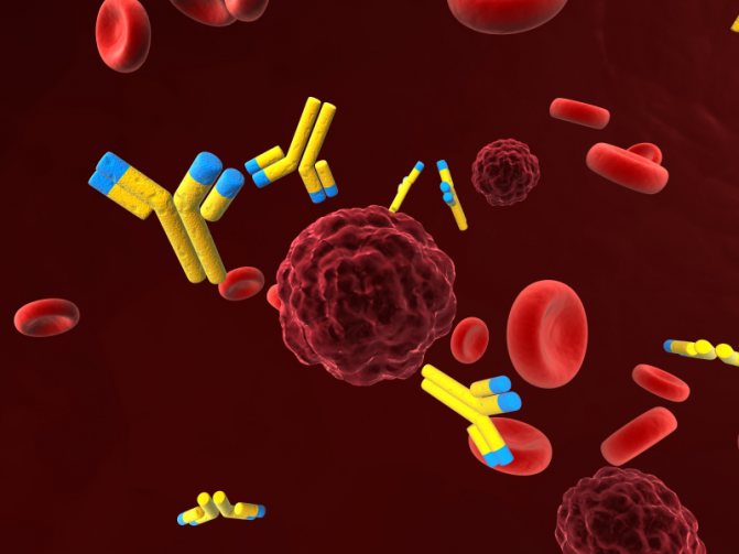 антитела к венерологическим заболеваниям в крови