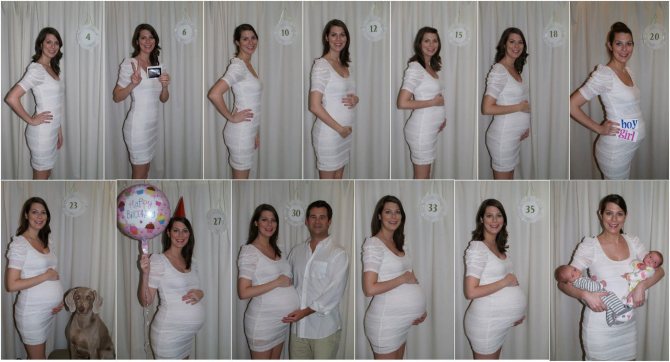 Беременность двойней по неделям фото