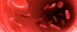 Эритроциты в кровяном русле