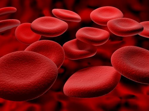 Гипохромия в общем анализе крови: что это, причины