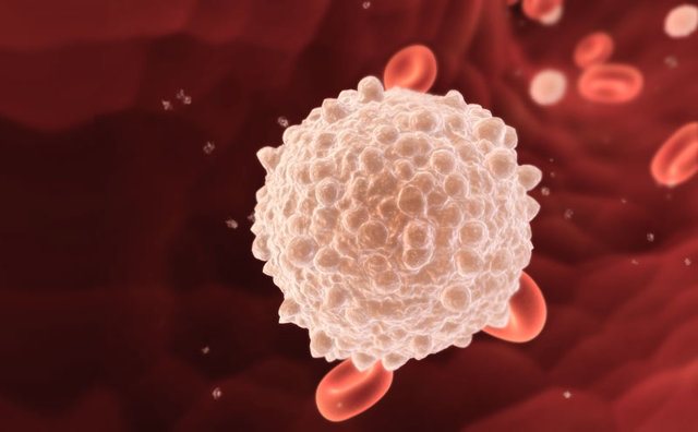 Лейкоциты при онкологии: повышены или понижены, уровень при раке, количество