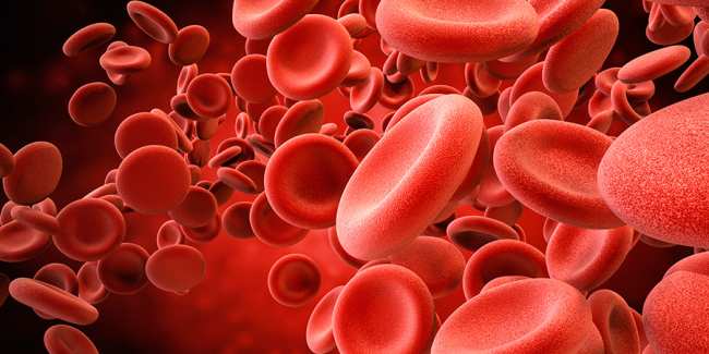 Мазок крови: алгоритм исследования - советы и рекомендации о здоровье на BTWNews.ru
