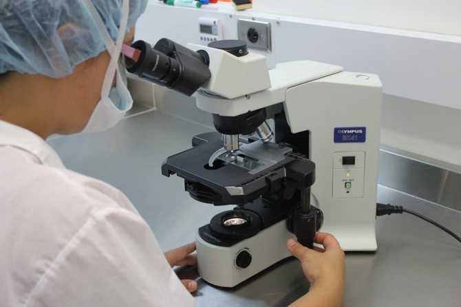 микроскопия соскоба ИППП