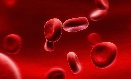 Продукты жизнедеятельности глистов проникают в кровь, в результате чего изменяется состав и формула крови