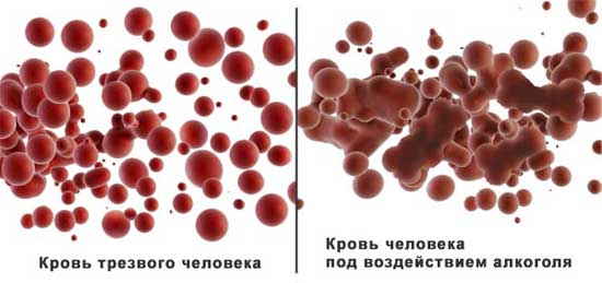проявление алкоголя в крови человека